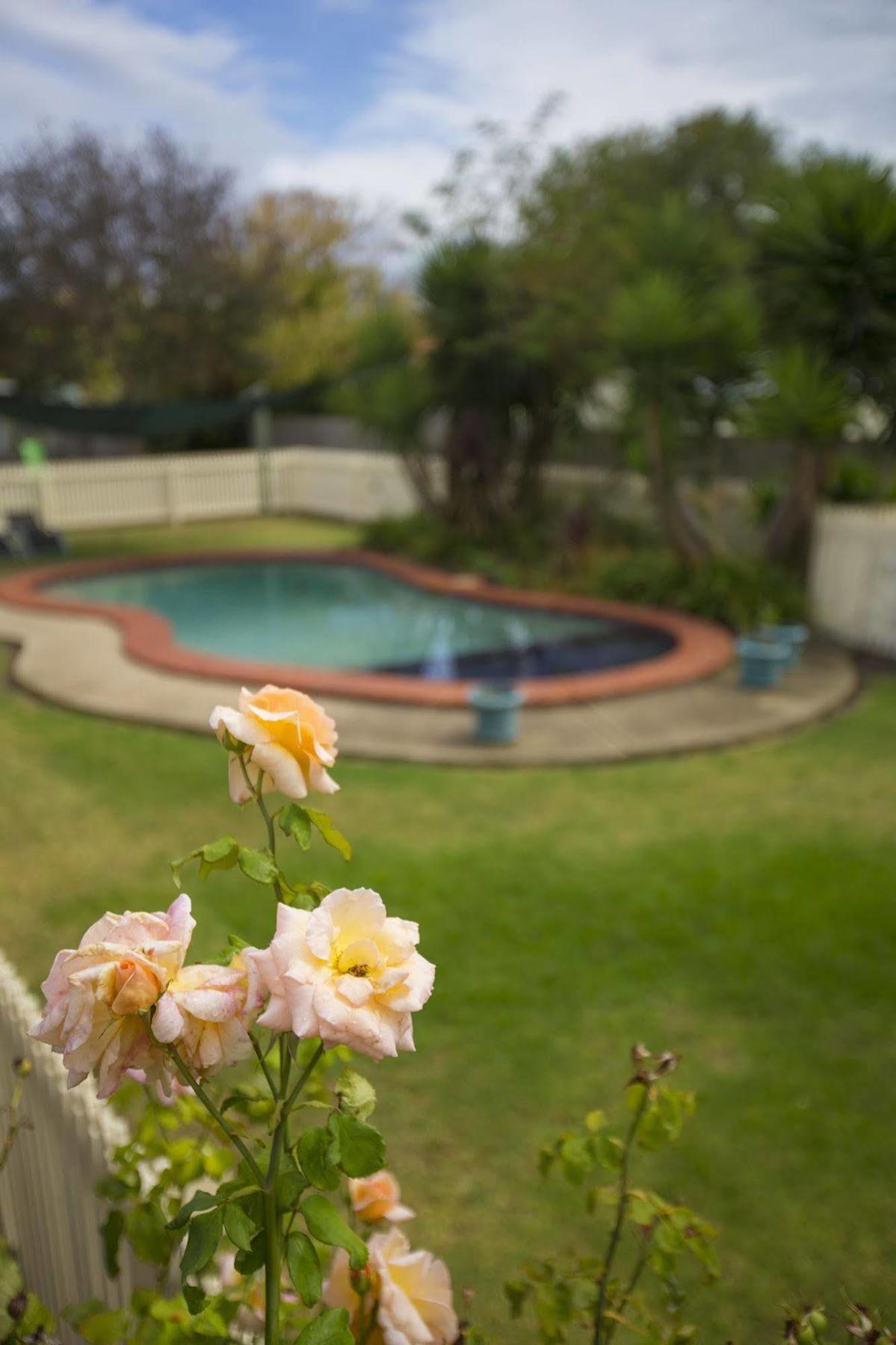 Rose Garden Motel Geelong Exterior photo
